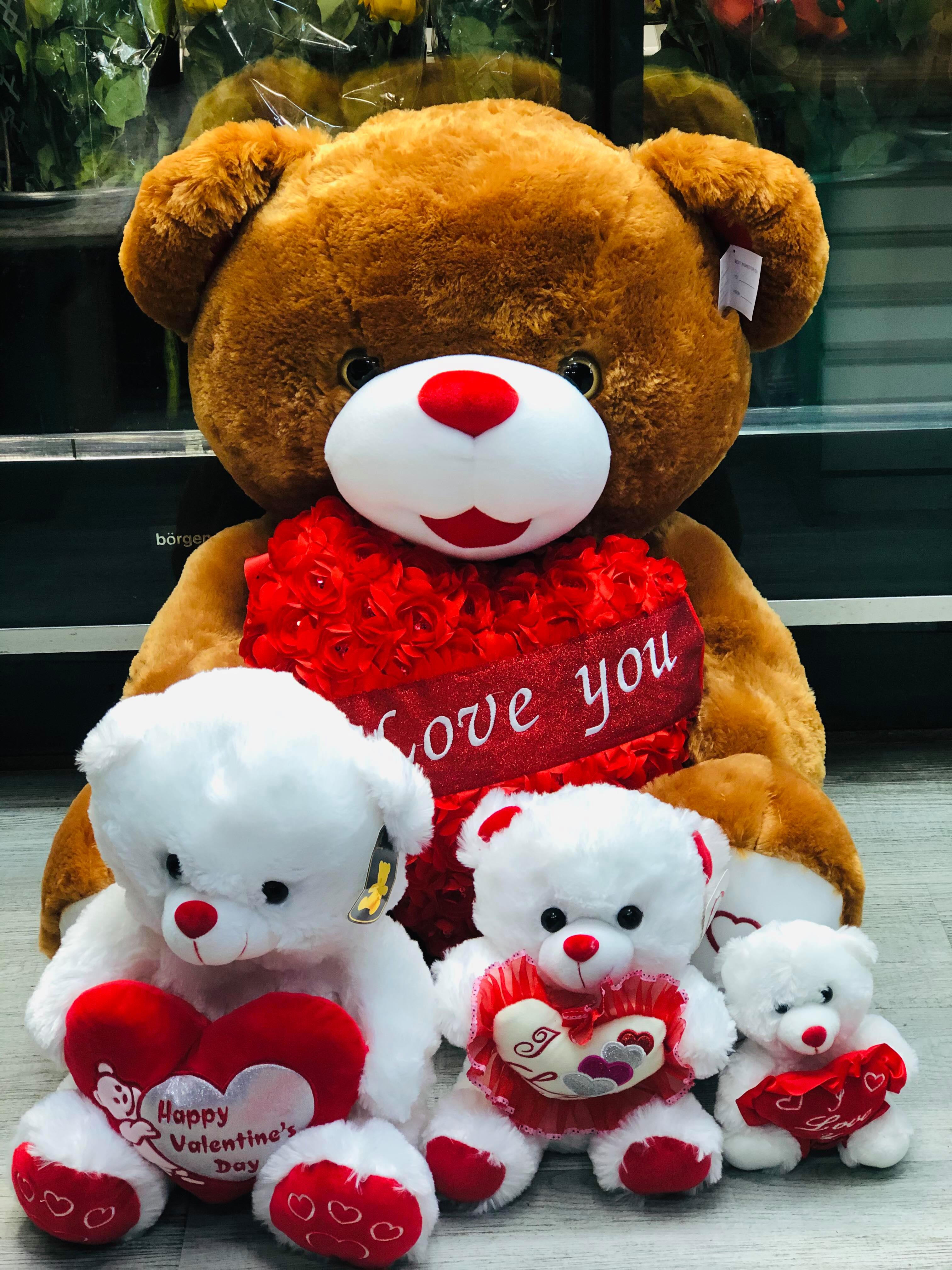 Teddy Bear – Jardin Flower Shop